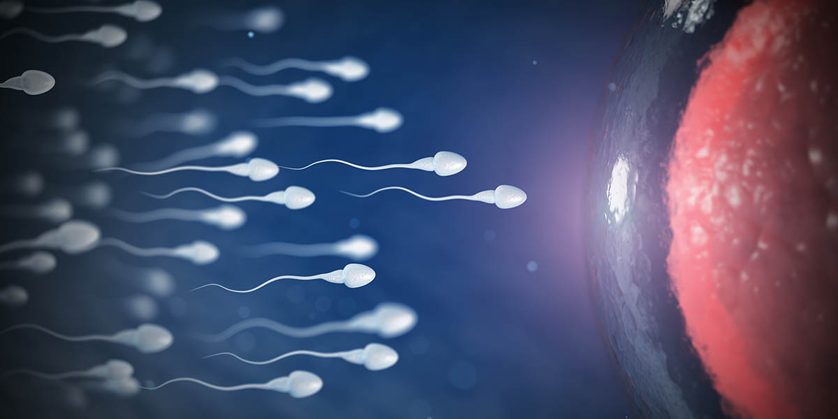 Azospermi tanısında sperm tahlili (semen analizi) ve doğru örnek verme